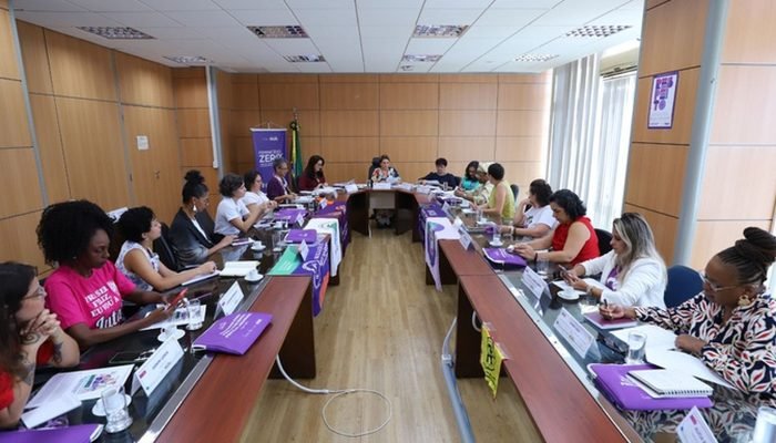 1773026429_reuniao_ministerio_das_mulheres.jpeg