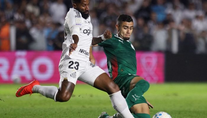 palmeiras_brasileirao.jpg