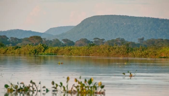parque_nacional_parna_do_pantanal_matogrossense_divulgacao_icmbio.jpeg